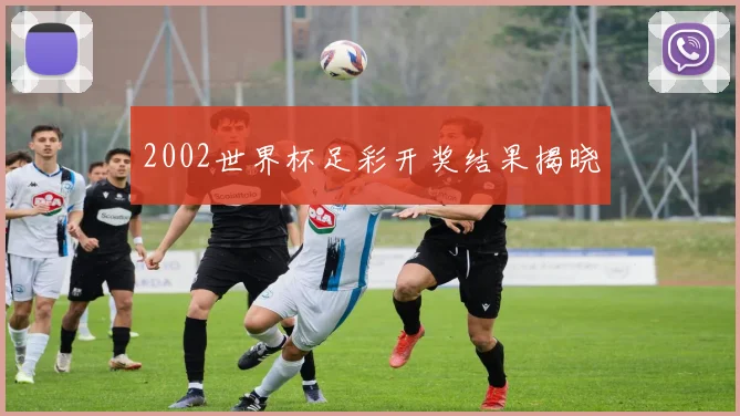 2002世界杯足彩开奖结果揭晓