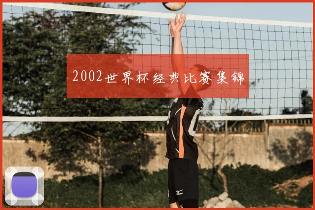 2002世界杯经典比赛集锦