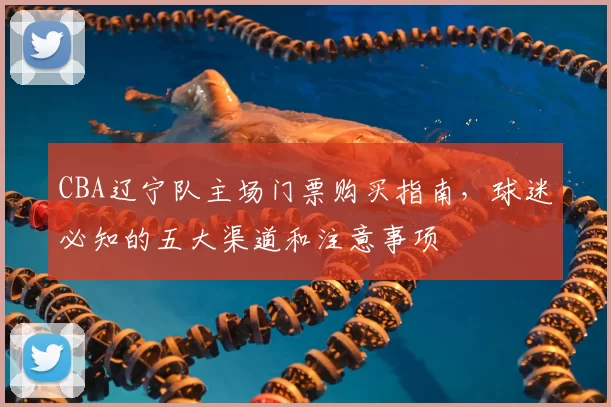 CBA辽宁队主场门票购买指南，球迷必知的五大渠道和注意事项