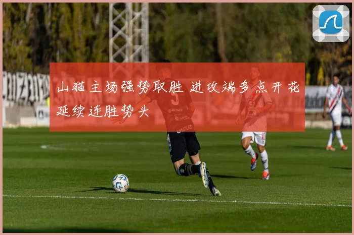 山猫主场强势取胜 进攻端多点开花延续连胜势头