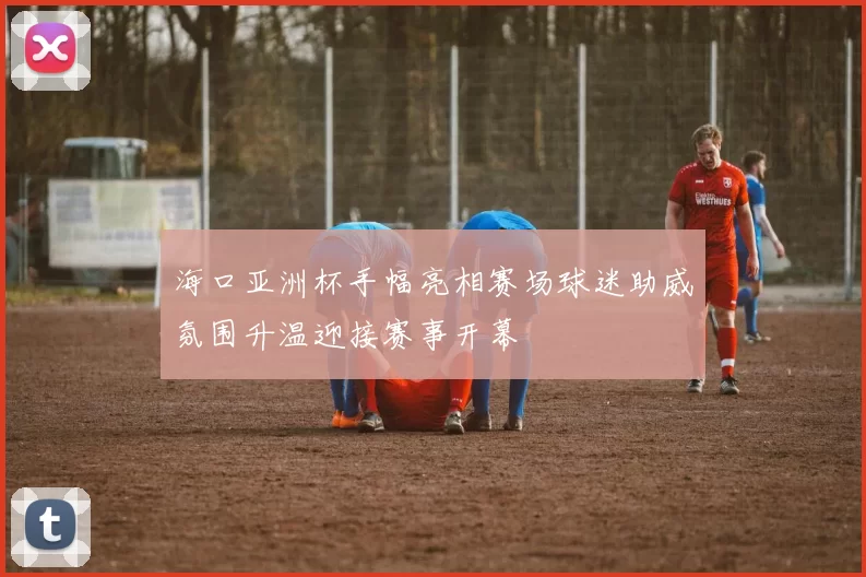 海口亚洲杯手幅亮相赛场球迷助威氛围升温迎接赛事开幕
