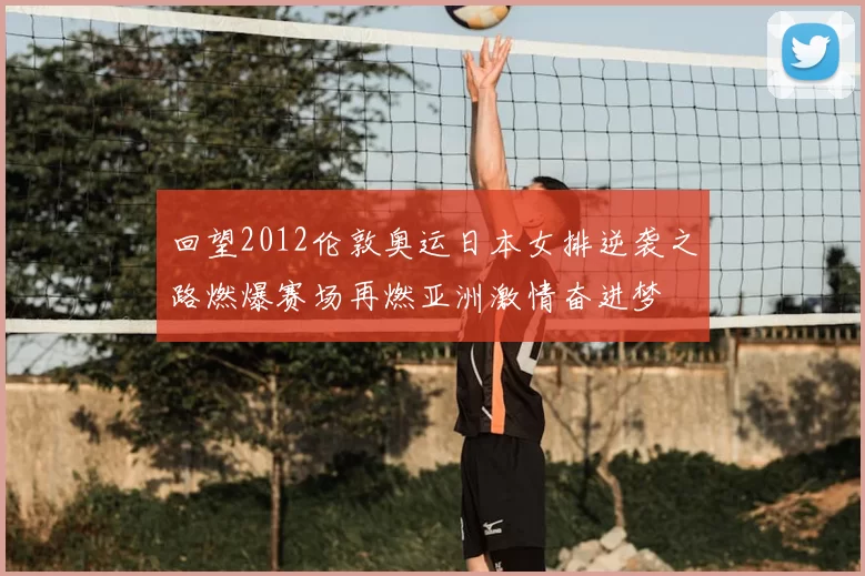 回望2012伦敦奥运日本女排逆袭之路燃爆赛场再燃亚洲激情奋进梦