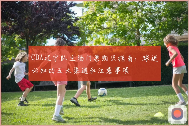 CBA辽宁队主场门票购买指南，球迷必知的五大渠道和注意事项